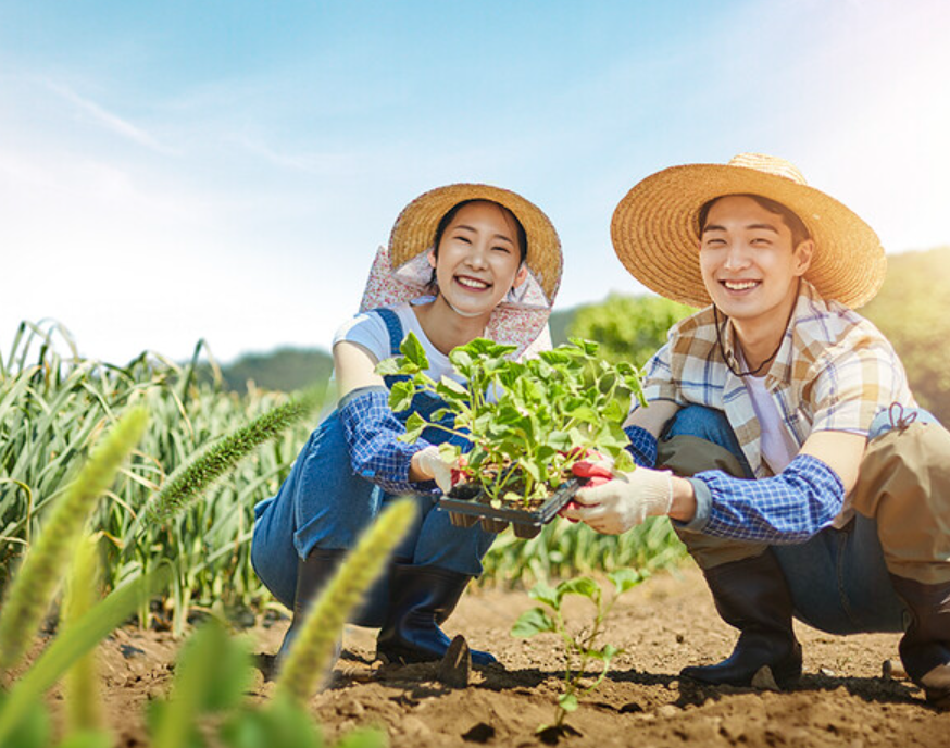 귀농 귀촌 지원금