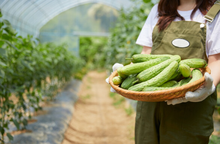 귀농 귀촌 지원금